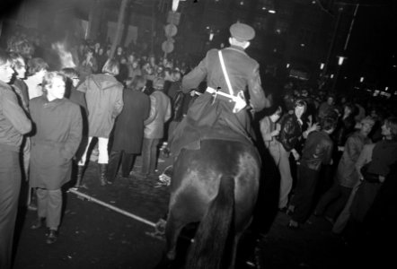Honderdjarig bestaan van de Bijenkorf. Feest te Amsterdam Politie te paard versp, Bestanddeelnr 923-3492