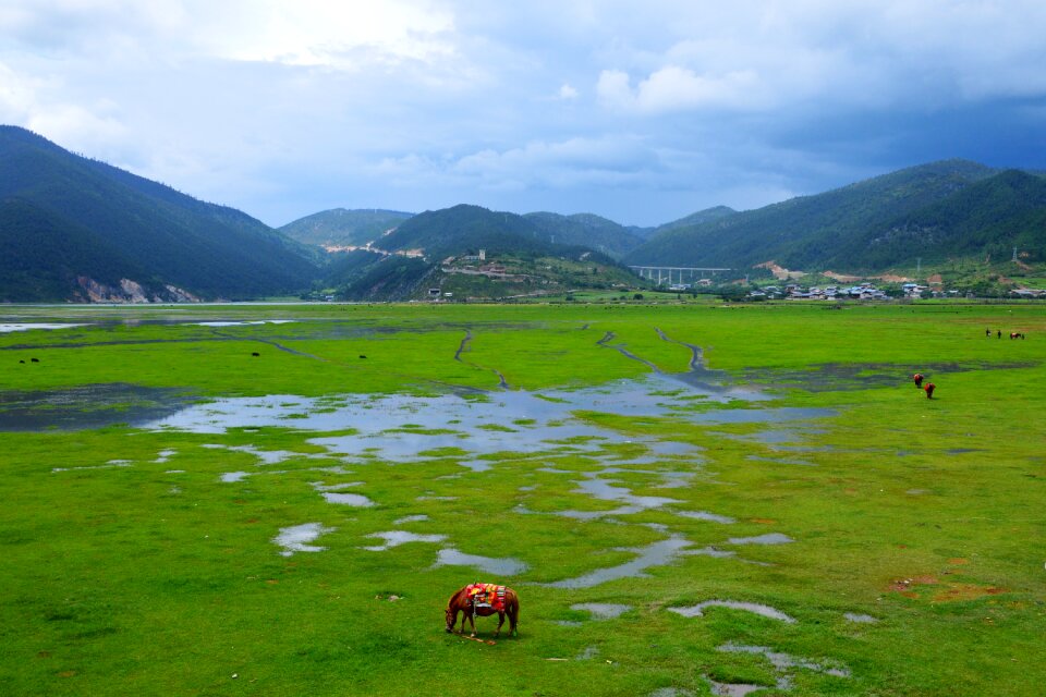 In yunnan province prairie shangri-la's photo