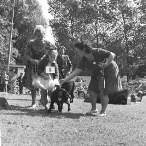 Hondenshow in Rotterdam voor de jeugd, Bestanddeelnr 914-2267