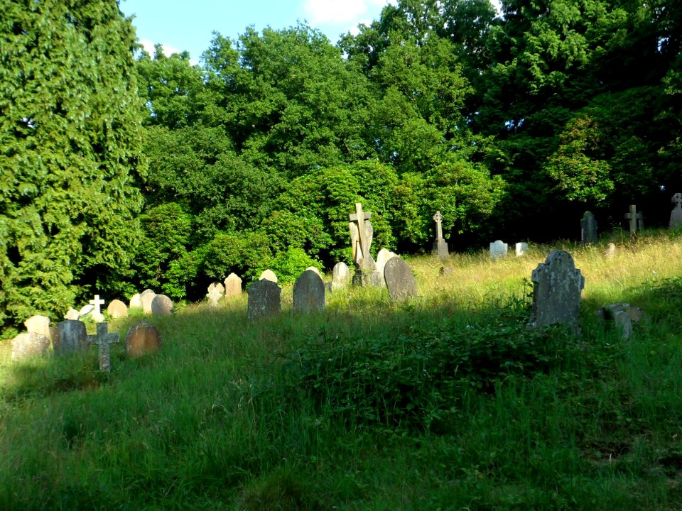 Holy Trinity Church, Guildford Road, Westcott (July 2013) (Churchyard) (3)