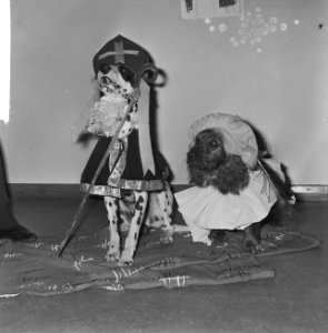 Honden verkleed als Sinterklaas en Zwarte Piet door kinderen op een kleuterschoo, Bestanddeelnr 918-5193