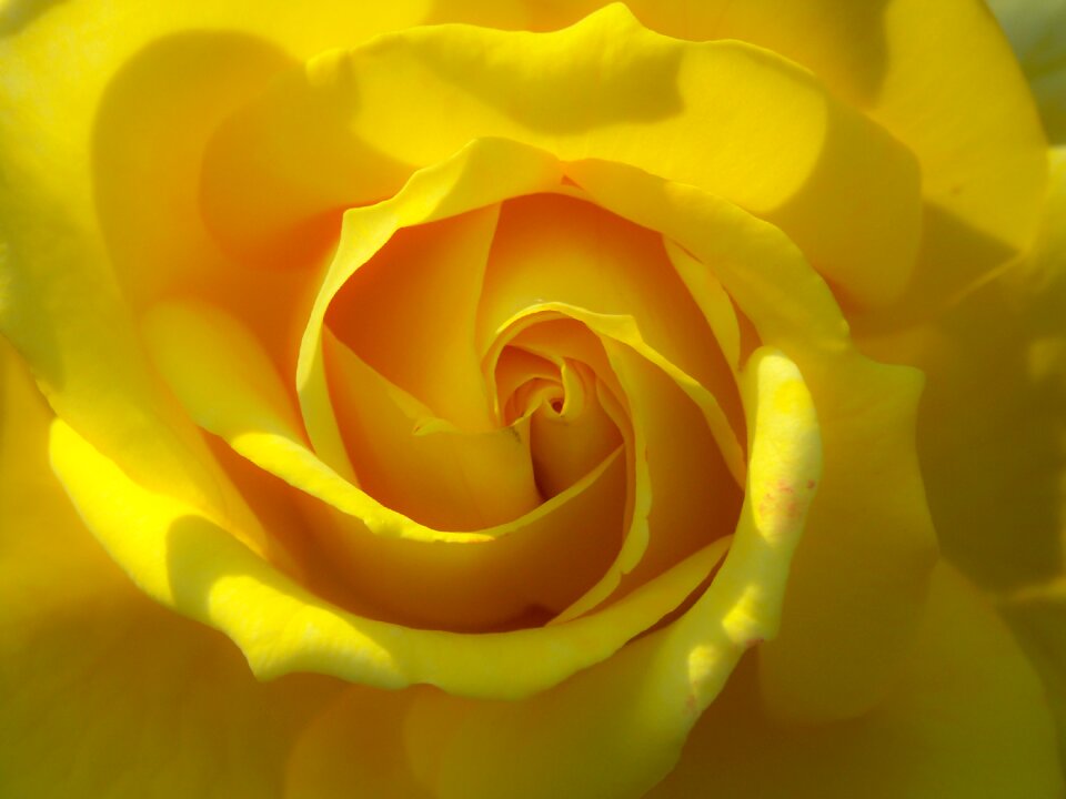 Nature romantic romance