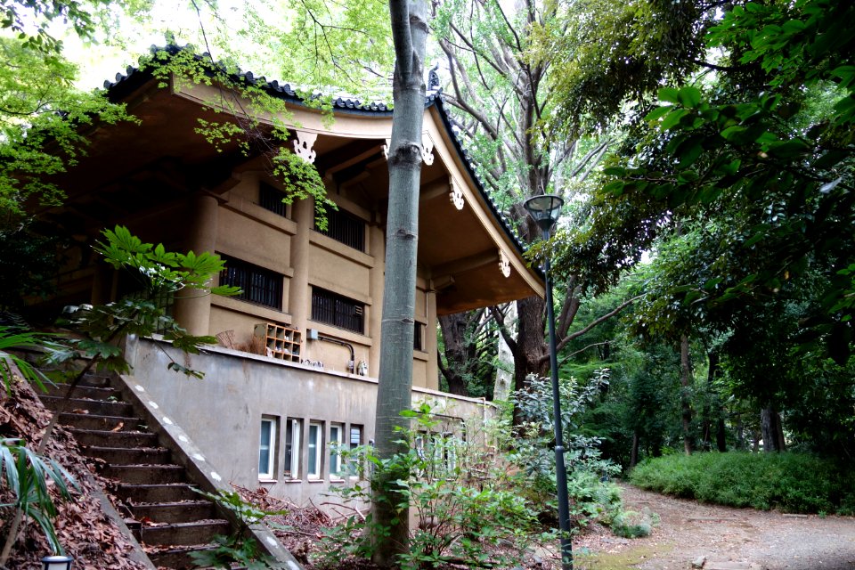 Hongo Campus, the University of Tokyo - DSC04861