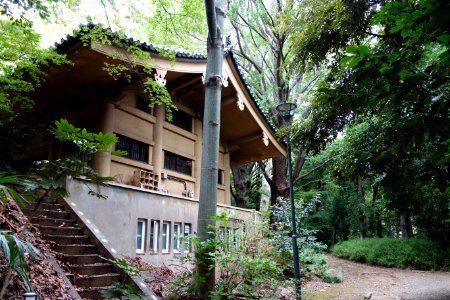 Hongo Campus, the University of Tokyo - DSC04861
