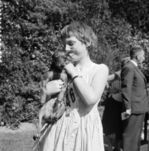 Hondenshow in openluchttheater Dijkzigt in Rotterdam, Bestanddeelnr 909-7592