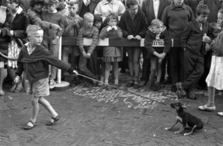 Hondenshow in de Jordaan Jongetje met ongehoorzame hond, Bestanddeelnr 912-7806