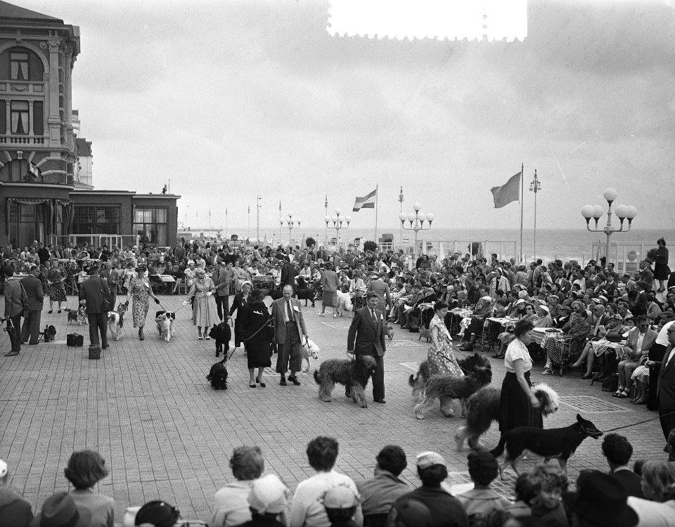 Hondenparade terras Kurhaus Scheveningen, Bestanddeelnr 907-2657
