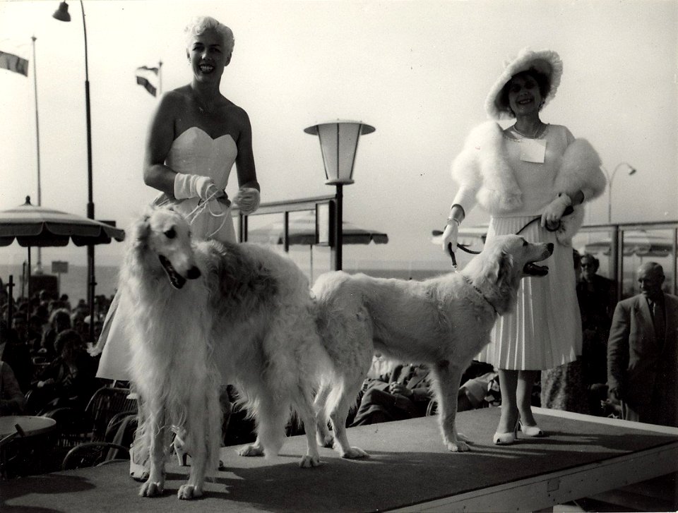 Hondenshow op het terras van hotel Bouwes georganiseerd door de Kynologenclub Kennemerland. Aangekocht in 1977 van fotograaf C. de Boer. Identificatienummer 54-004579, NL-HlmNHA 54004579