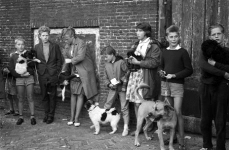Hondenshow in de Jordaan Kinderen met hun honden, Bestanddeelnr 912-7799