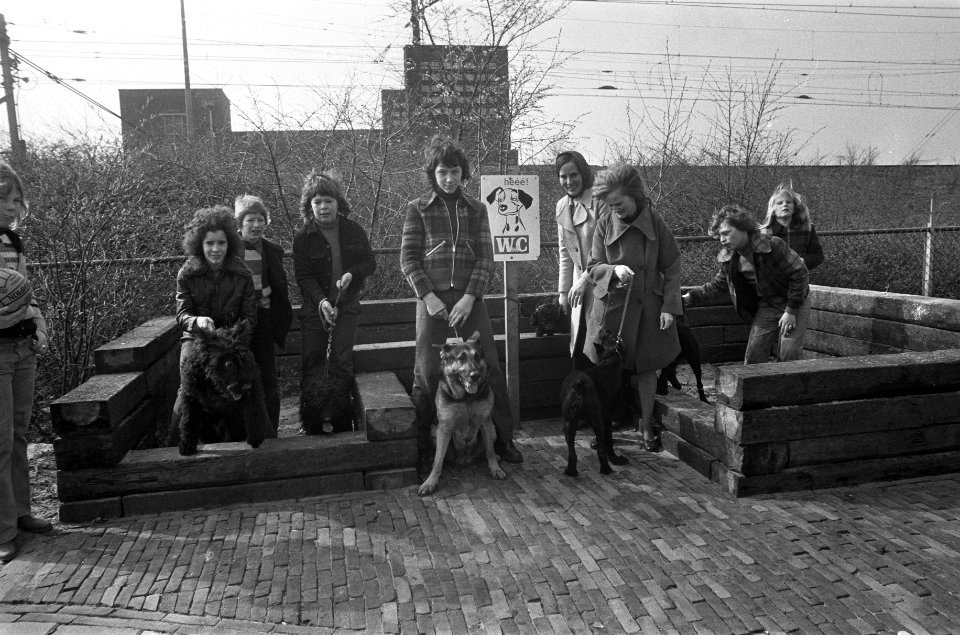 Hondentoilet aan het Spaarndammerplantsoen in Amsterdam honden bij hun toilet, Bestanddeelnr 927-0807