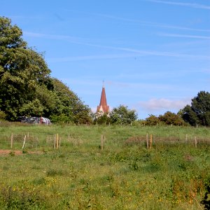 Holy Trinity Church, Crabden Lane, Blendworth (NHLE Code 1179047) (May 2019) (1)