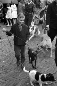 Hondenshow in de Jordaan Parade van de honden, Bestanddeelnr 912-7805