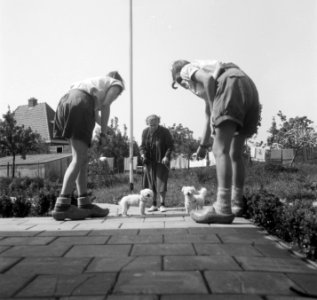 Hondenpension Duivendrecht, Bestanddeelnr 903-3974