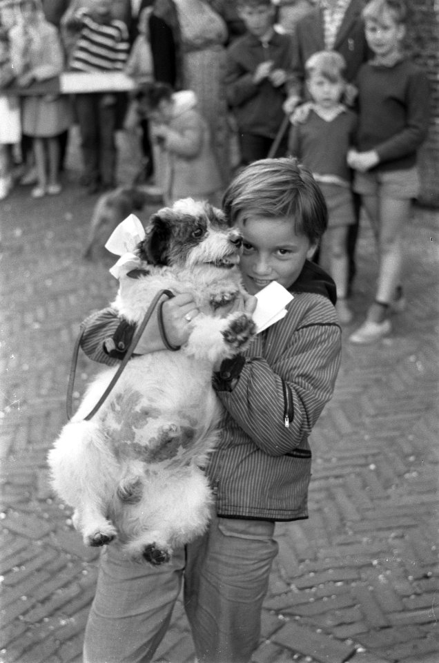 Hondenshow in de Jordaan Winnaar Annemarie Kat, Bestanddeelnr 912-7803