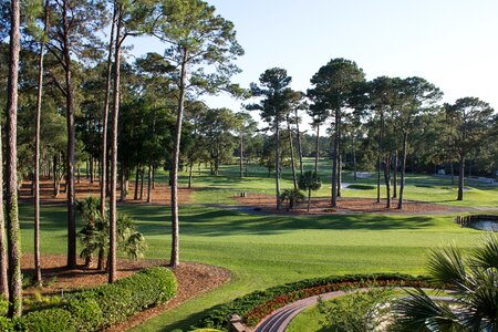 Green golf course photo