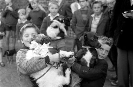 Hondenshow in de Jordaan Kinderen met hun honden, Bestanddeelnr 912-7796