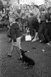 Hondenshow in de Jordaan Kinderen met hun honden, Bestanddeelnr 912-7800