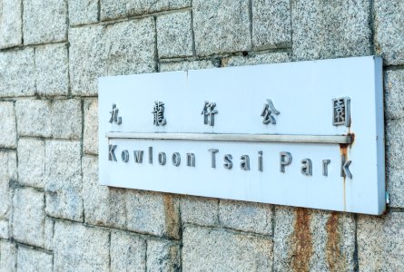 Hong Kong Park 7