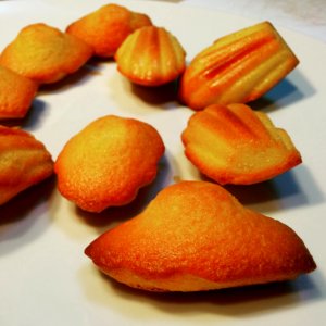 Home-baked madeleines photo