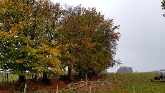 Holzheim-Römerwall (4)