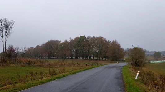 Holzheim-Römerwall (1)
