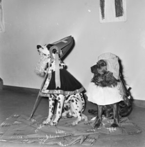 Honden verkleed als Sinterklaas en Zwarte Piet door kinderen op een kleuterschoo, Bestanddeelnr 918-5194
