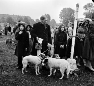 Hondenkeuring De gezelligste hond van Amsterdam, Bestanddeelnr 905-3384