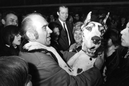 Hondententoonstelling in RAI, Amsterdam winnaar met Duitse Dog, Bestanddeelnr 924-0316