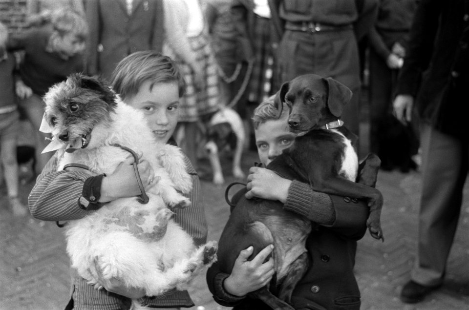 Hondenshow in de Jordaan Kinderen met hun honden, Bestanddeelnr 912-7797