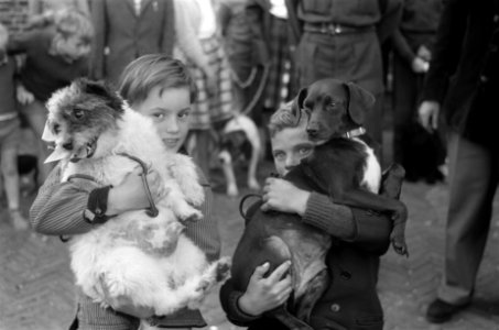 Hondenshow in de Jordaan Kinderen met hun honden, Bestanddeelnr 912-7797