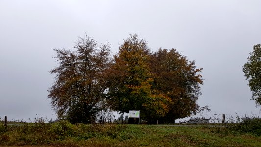 Holzheim-Römerwall (5)
