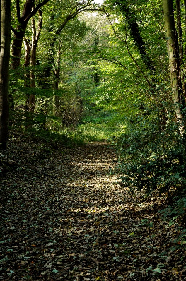 Home-Park-Hatfield-20051105-003