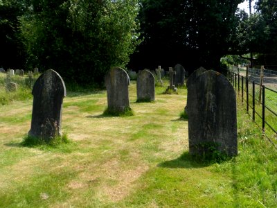 Holy Trinity Church, Ockley Road, Forest Green (July 2013) (Churchyard) (2)