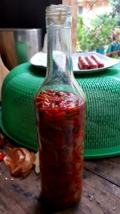 Home-made sinamak (Visayan spiced vinegar) with siling labuyo 2
