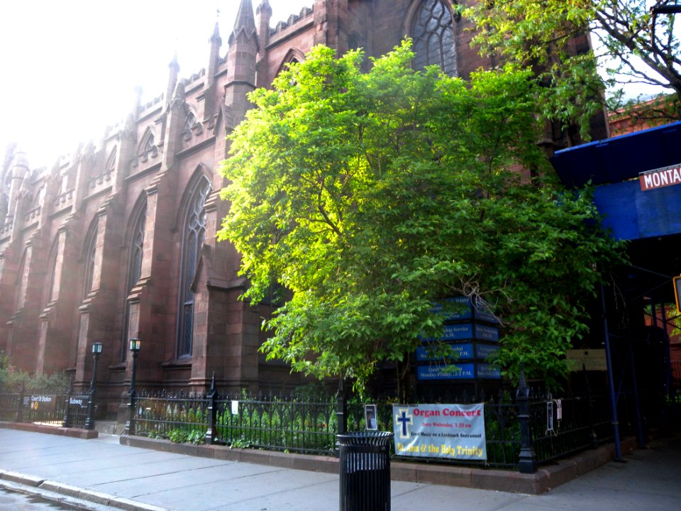 Holy Trinity Montague Clinton jeh
