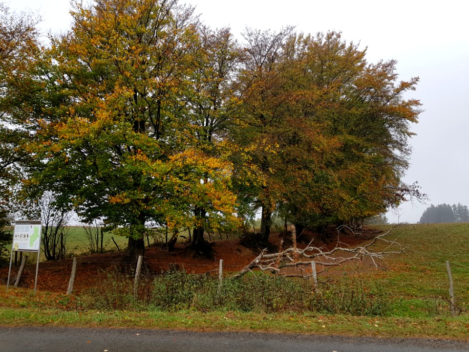 Holzheim-Römerwall (3)