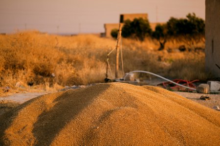 Home of an Ezidi family in their village of Solagh in Sinjar District, after its decimation by the Islamic State 12