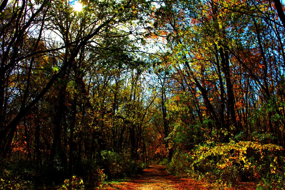 Outdoor path environment
