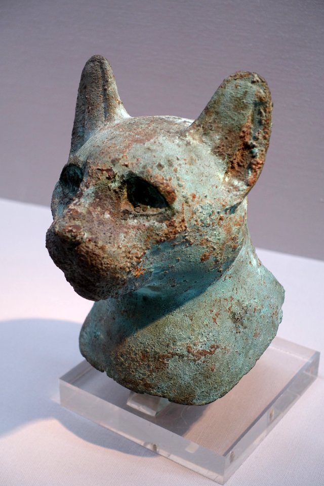 Holy cat head, Egypt, Late Period, c. 664-332 BC, bronze - Matsuoka Museum of Art - Tokyo, Japan - DSC06979