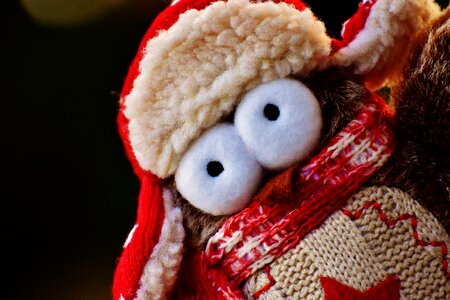 Funny cap scarf
