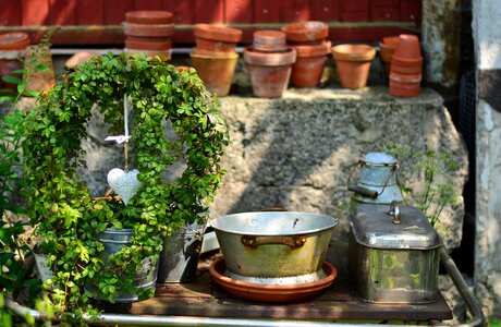 Heart garden still life