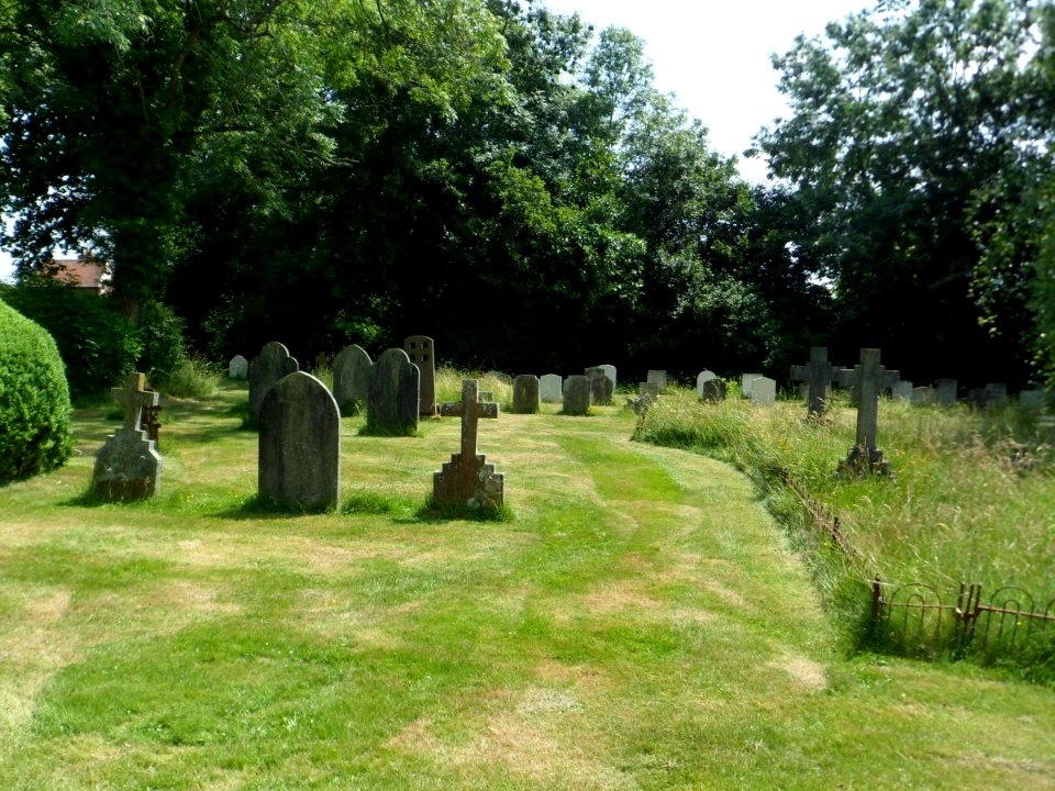 Holy Trinity Church, Ockley Road, Forest Green (July 2013) (Churchyard) (1)