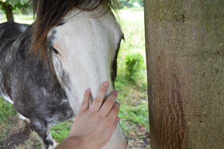 Caring love nature