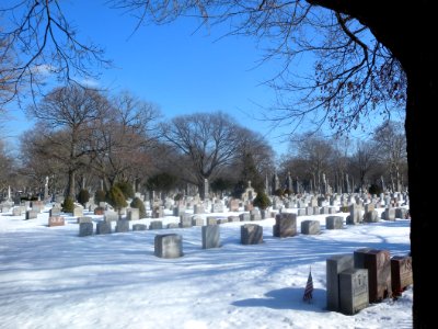 Holy Cross Cemetery NW snow jeh