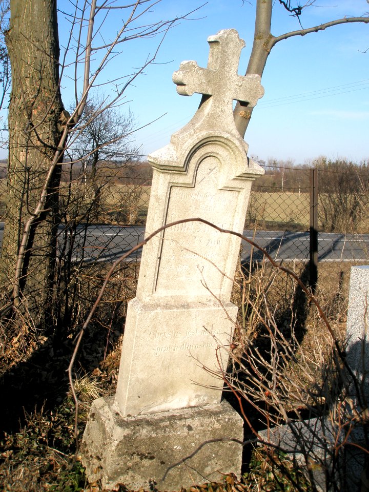 Hnojnik Sikora