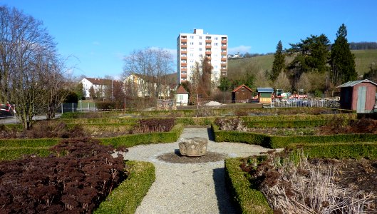 HN Botanischer Obstgarten 6