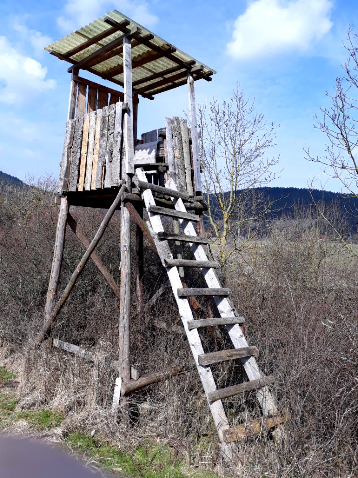 Hochsitz Thüringen - 1