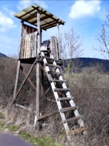 Hochsitz Thüringen - 1