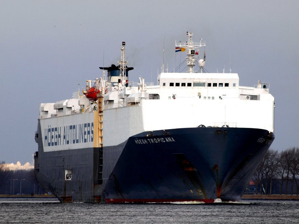 Hoegh Tropicana IMO 7903093 pic2
