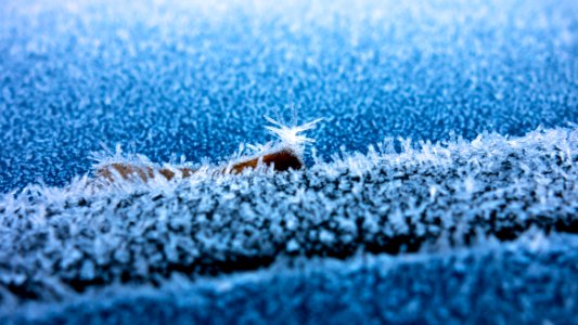 Hoar frost on a blue car 5 photo